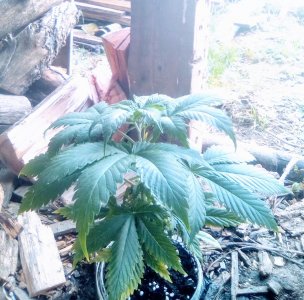 IMG_20220403_133412~7.jpg