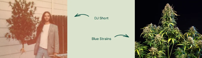 1742277547729.png 1742277547729.png