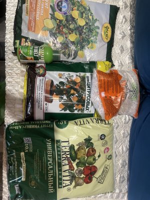 IMG_3613.jpeg