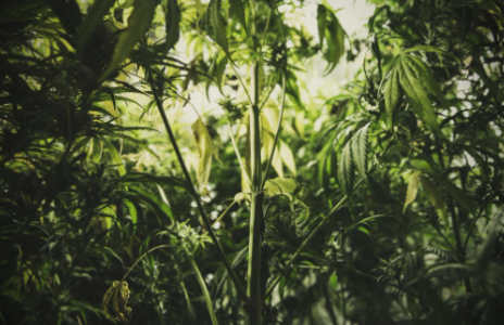 1749827836013.png