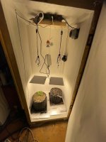 IMG_0463.jpeg
