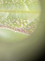 IMG_1456.jpeg