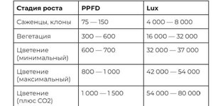 IMG_20251006_161718.jpg