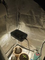 IMG_20251120_085436.jpg