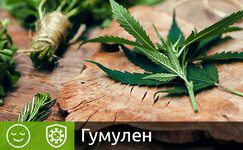 gumulen__Pfck3rwd09qWH7ZH.jpg gumulen__Pfck3rwd09qWH7ZH.jpg