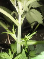 IMG_20251223_173405.jpg