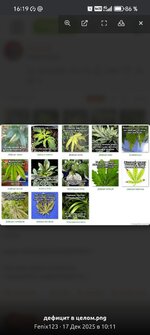 Screenshot_20251224_161918_com_android_chrome_CustomTabActivity.jpg