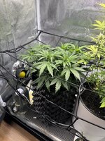 IMG_4113.jpeg