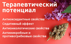 terapevticheskij-potencial-terpinolena__pYoESm1ZbEZCDX8V.jpg terapevticheskij-potencial-terpinolena__pYoESm1ZbEZCDX8V.jpg