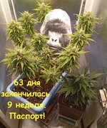 1000024780.jpg 1000024780.jpg