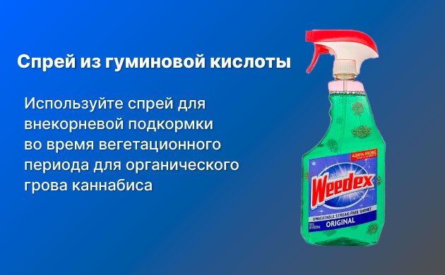 Как использовать гуминовую и фульвовую кислоты при выращивании конопли Как использовать гуминовую и фульвовую кислоты при выращивании конопли
