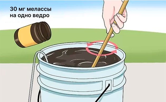 Меласса Меласса