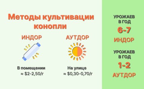 Климатические условия индора и аутдора для конопли Климатические условия индора и аутдора для конопли