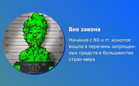 Криминализация конопли Криминализация конопли