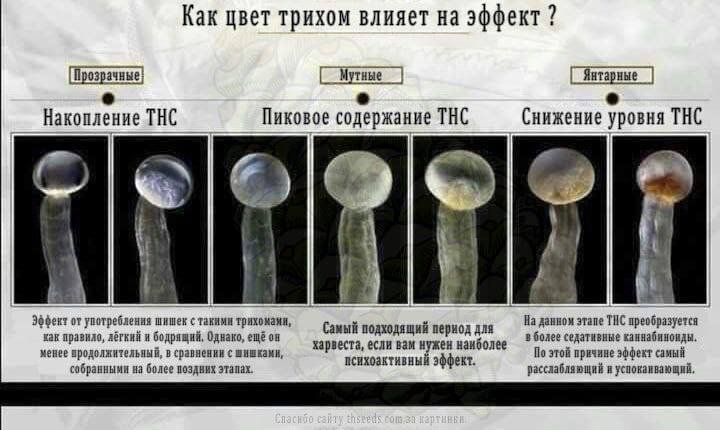 C22C08D5-5F31-445E-9289-E5CAE42BC1AD.jpeg