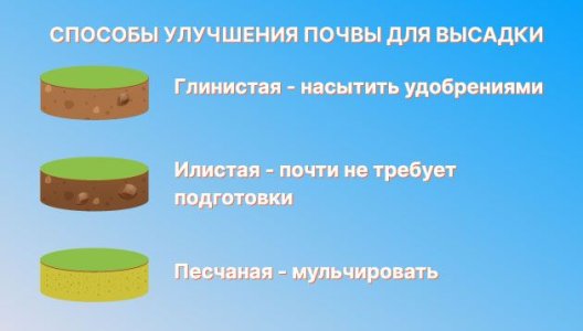 Благоприятная почва для выращивания конопли в аутдоре Благоприятная почва для выращивания конопли в аутдоре