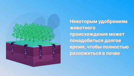 Удобрения для марихуаны при выращивании в аутдоре Удобрения для марихуаны при выращивании в аутдоре