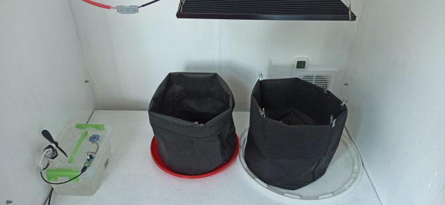 IMG_20230609_185728.jpg