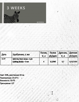 842B11E9-4E48-476B-B13E-73CD473EA367.png