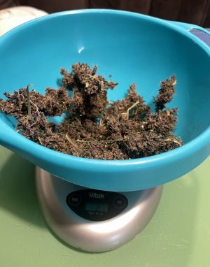 IMG_3022.jpeg