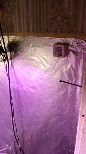 IMG_20220214_202549.jpg