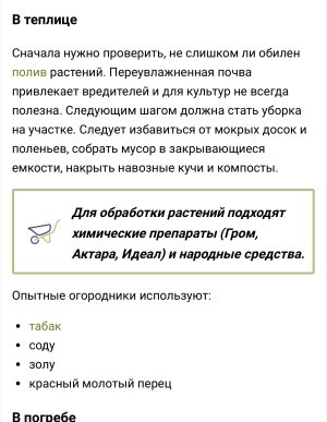 IMG_9101.jpeg