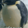 Apogey